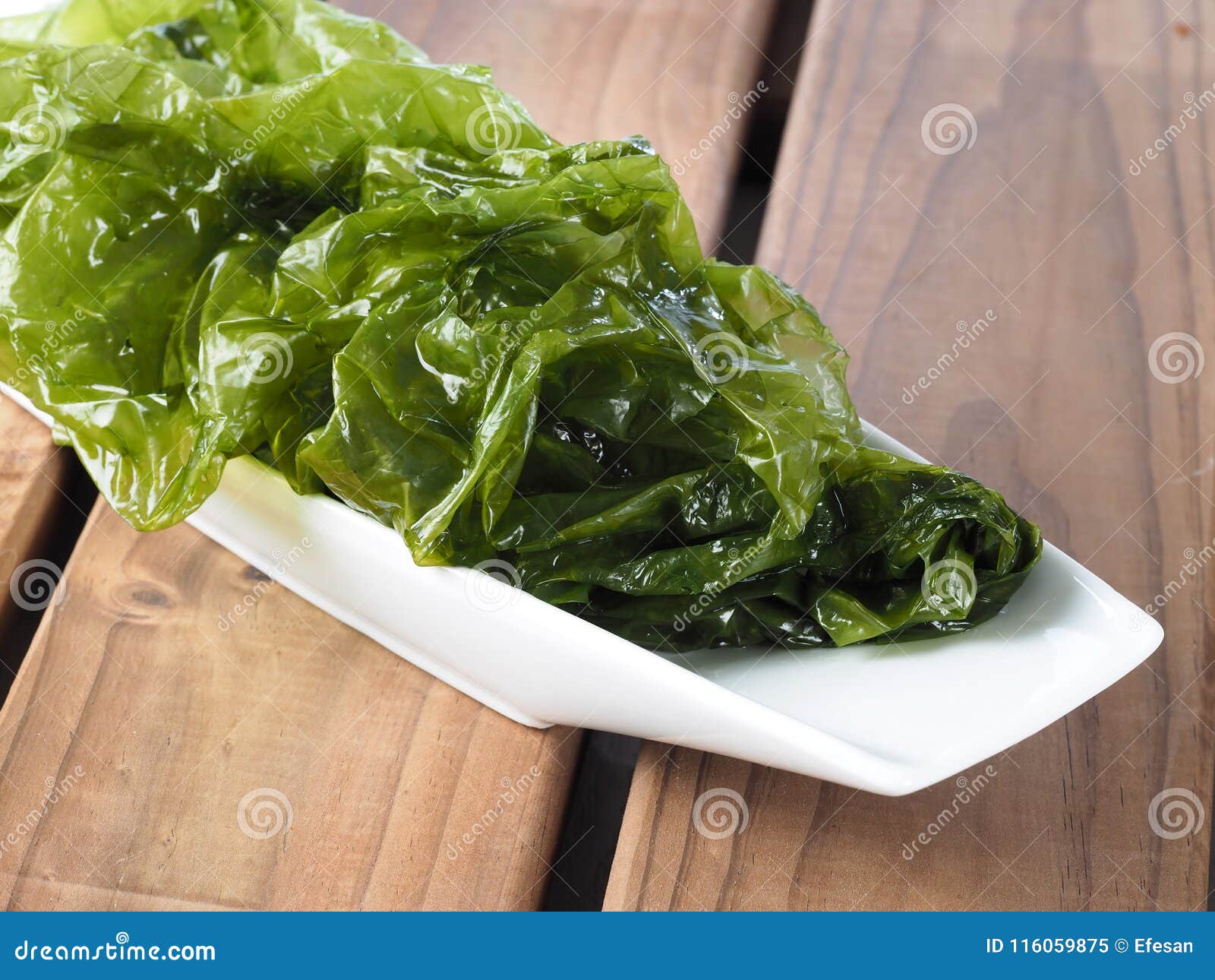 sea lettuce Ã¢â¬â lechuga de mar